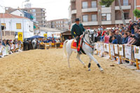 caballos